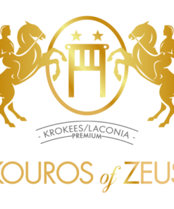 KOUROS OF ZEUS ΠΟΙΚΙΛΙΑ "ΚΟΡΩΝΕΪΚΗ" ΕΞΑΙΡΕΤΙΚΟ ΠΑΡΘΕΝΟ ΕΛΑΙΟΛΑΔΟ