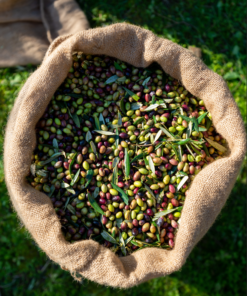 Olivian Εξαιρετικό Παρθένο Ελαιόλαδο